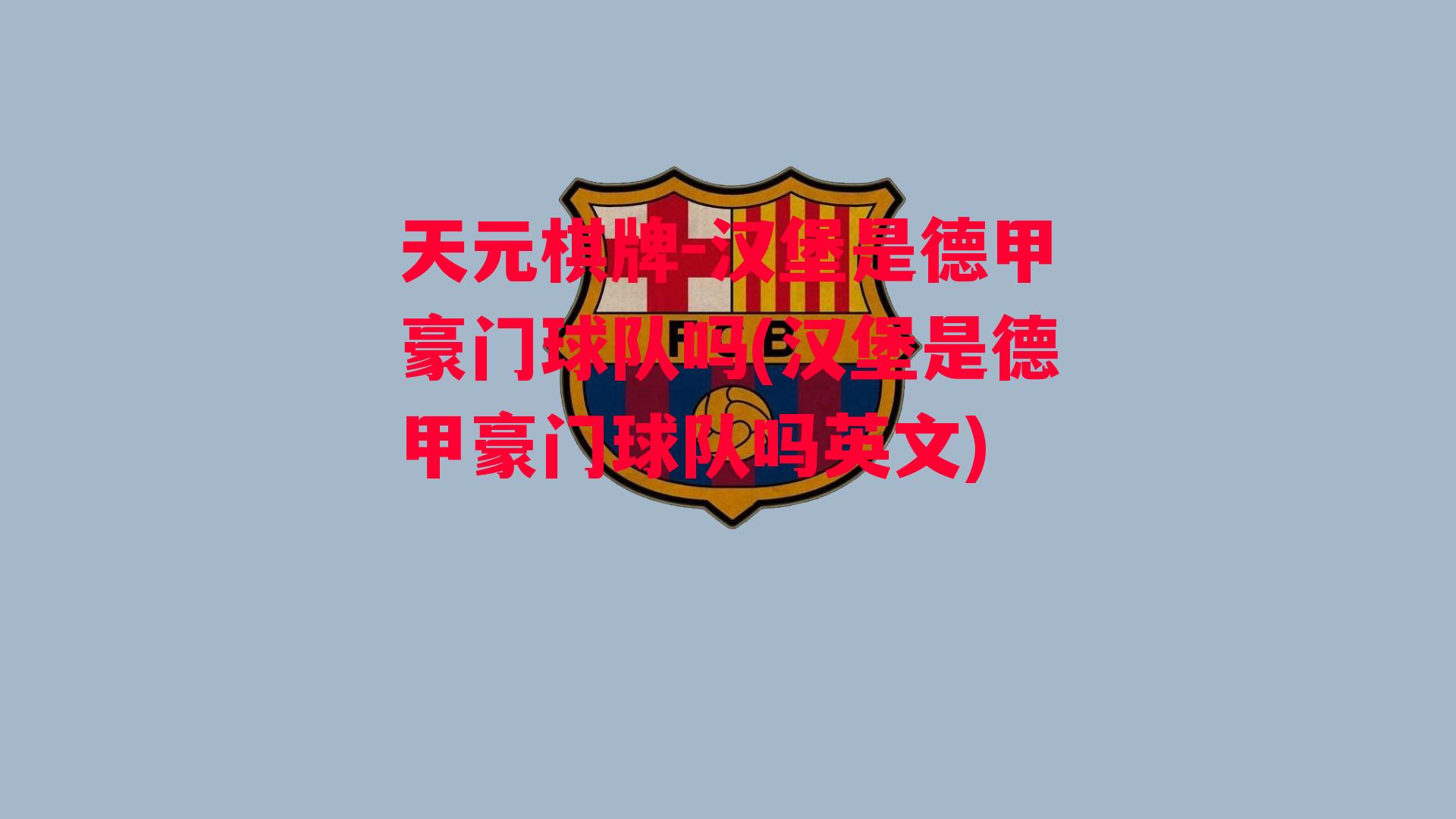 汉堡是德甲豪门球队吗(汉堡是德甲豪门球队吗英文)